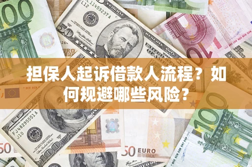 北京担保人起诉借款人流程？如何规避哪些风险？