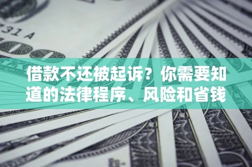 北京借款不还被起诉？你需要知道的法律程序、风险和省钱技巧
